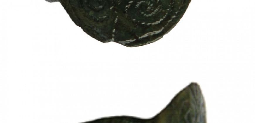 Miedziany pierścionek zdobiony motywem florystycznym znaleziony w warstwie cmentarzyskowej, fot. R. Zdaniewicz